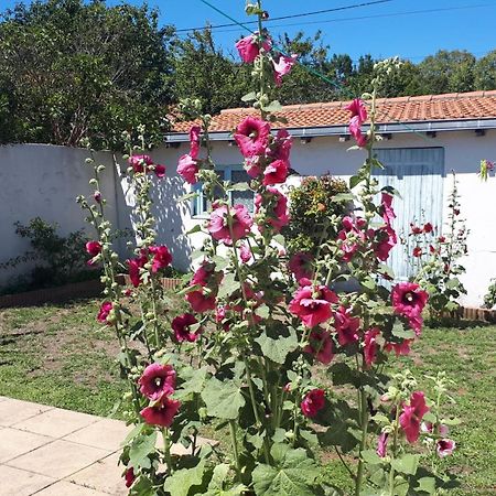 Maison De Vacances Familiale Λα Ροσέλ Εξωτερικό φωτογραφία