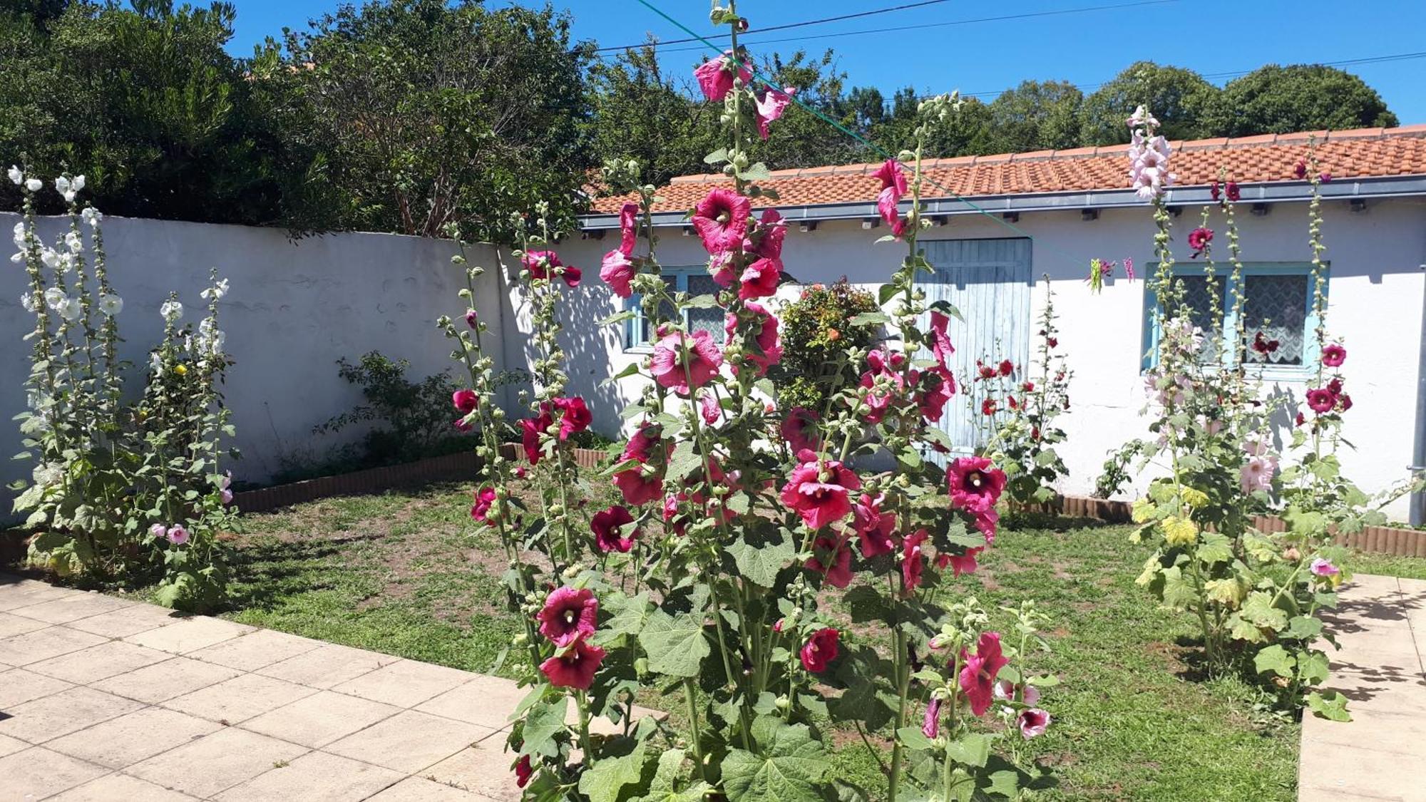 Maison De Vacances Familiale Λα Ροσέλ Εξωτερικό φωτογραφία